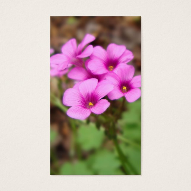 On My Doorstep Bookmarks (Front)