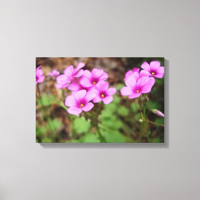 On My Doorstep Canvas Print (Front)