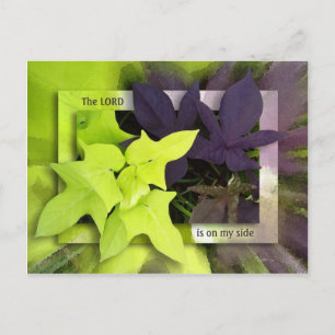 On My Side Postcard
