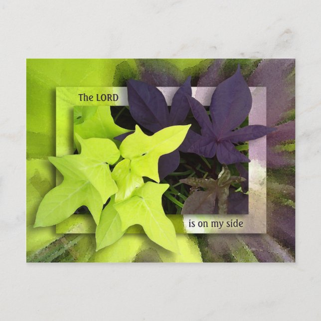 On My Side Postcard (Front)