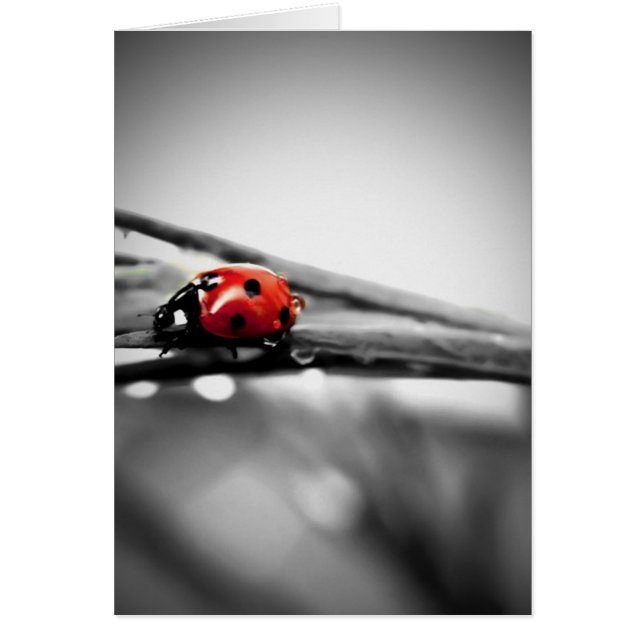 On My Way Card (Front)