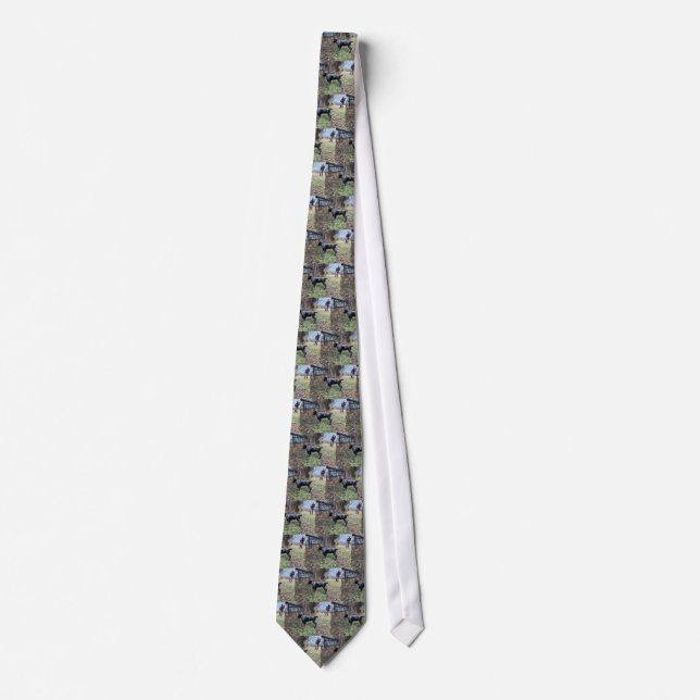 On point puppy tie (Front)