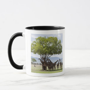 On safari in Mikumi National Park in Tanzania, Mug