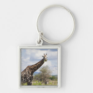 On safari in Tanzania, Africa. Key Ring