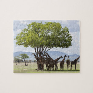 On Safari Mikumi National Park, Tanzania Jigsaw Puzzle