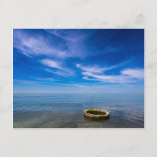 On shore of the Baltic Sea Postcard