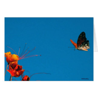 ON SHORT FINAL 2nov06 3