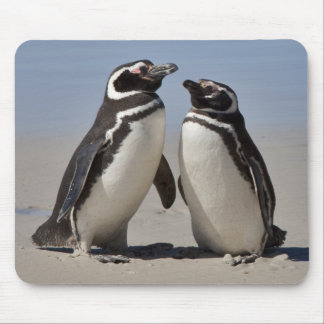 On the Beach Mousemat