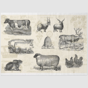 On The Farm French Farmhouse Mono Decoupage Tissue Paper