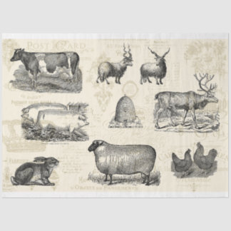 On The Farm French Farmhouse Mono Decoupage Tissue Paper