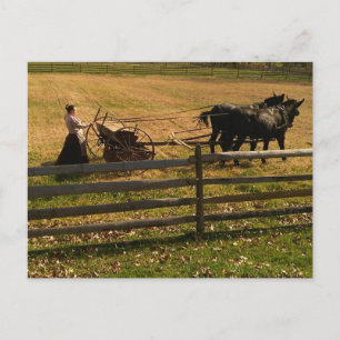 On the Farm Postcard