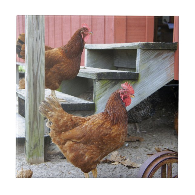 On the Farm Tile (Front)