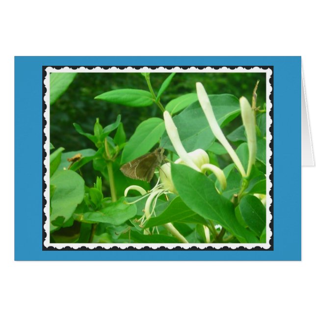 On the Honeysuckle (Front Horizontal)