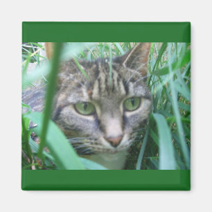 On the Hunt Cat Magnet