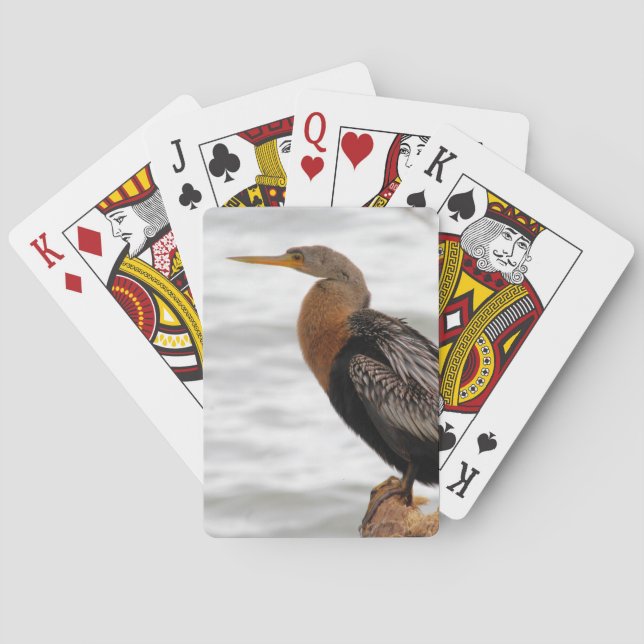 On the Lookout Playing Cards (Back)
