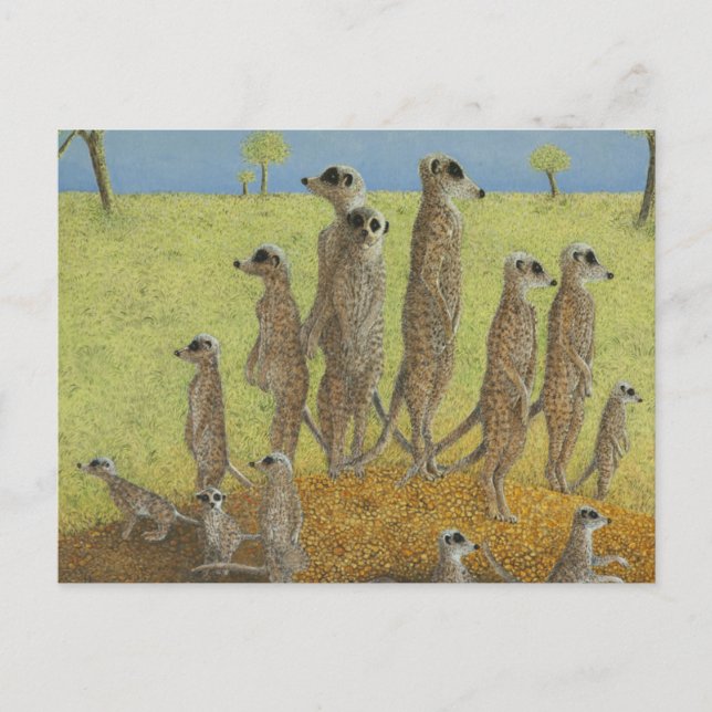 On the lookout postcard (Front)