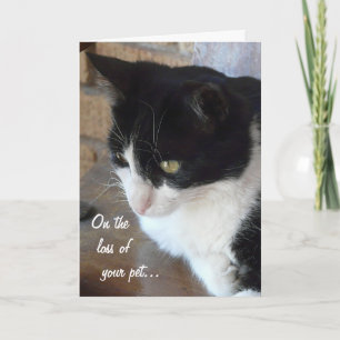 On the loss of your pet-Cat with poem. Card