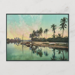 On the Miami River rare Photochrom Postcard