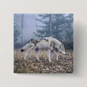 On the Prowl Timber Wolf 15 Cm Square Badge