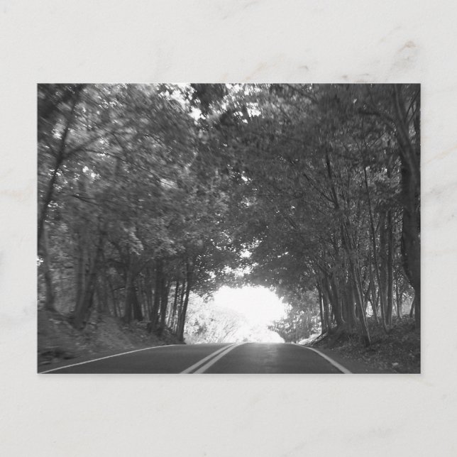 On The Road Again Postcard (Front)