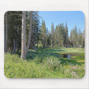 On the Road to Lake Tahoe Mouse Mat
