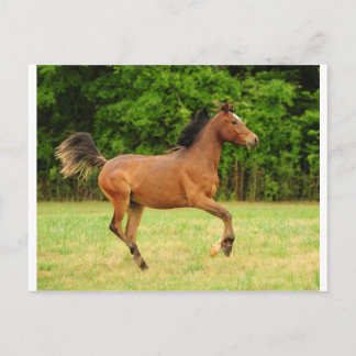 On the run postcard