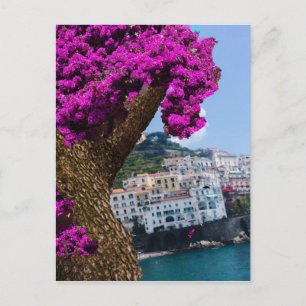 On the trips you see the wonder of different world postcard