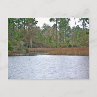 On The Water Postcard