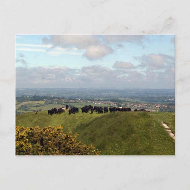 On Top Cley Hill Postcard (Front)