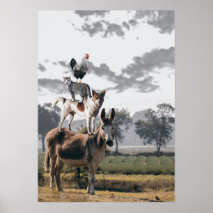 On Top Poster