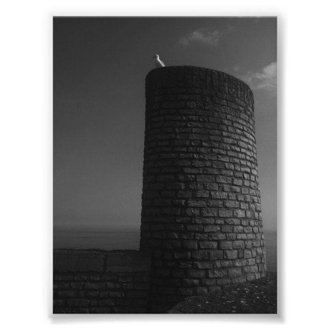 On Watch. Photo Print (Front)