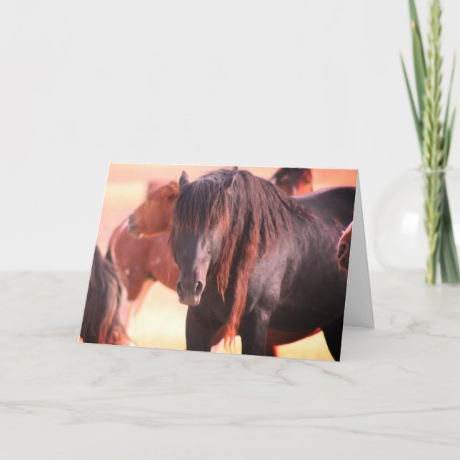 ONAQUI HERD WILD HORSE GREETING CARD (Front)