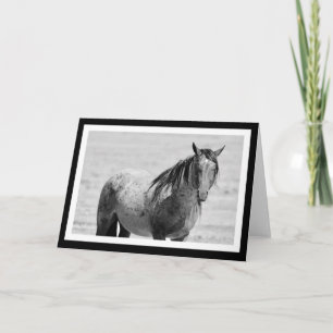 Onaqui Mountain Wild Horse blank note card. 5"x 7" Card