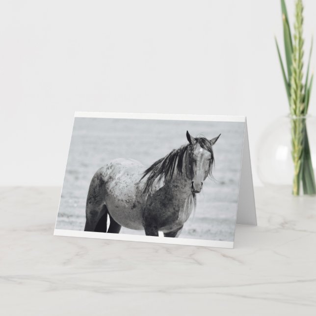 Onaqui Mountain Wild Horse blank note card. 5"x 7" Card (Front)
