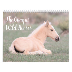 Onaqui Wild Horses Calendar