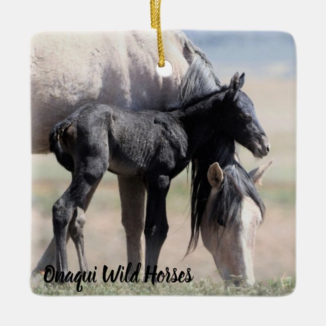 Onaqui Wild Horses Ornament (Front)