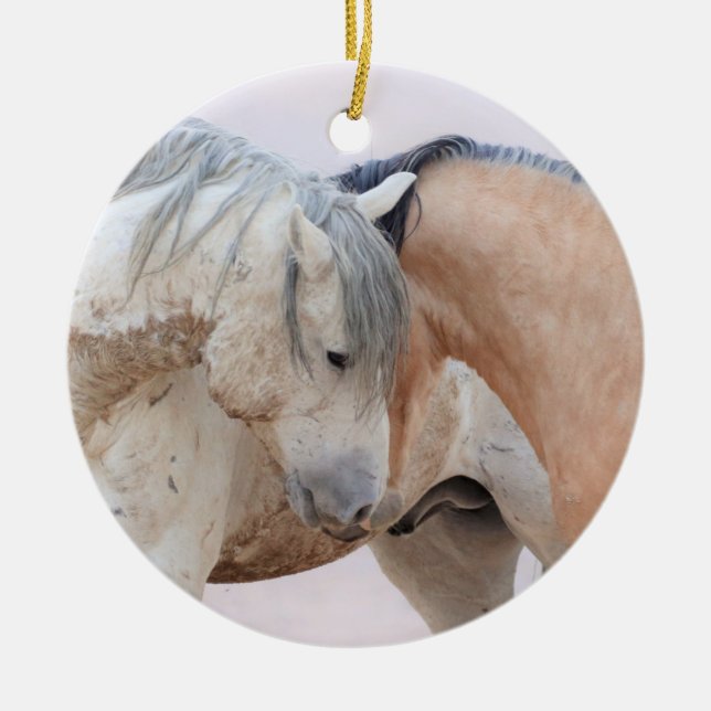 Onaqui Wild Horses Ornament (Front)