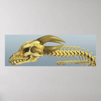 Once A Dragon Poster