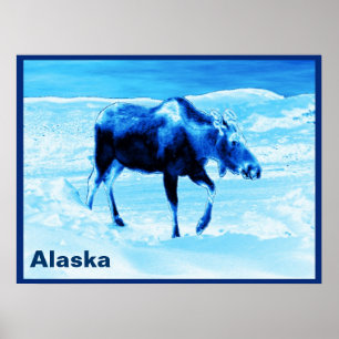 Once In A Blue Moose Poster