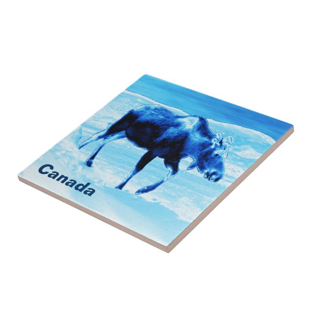 Once In A Blue Moose Tile (Side)