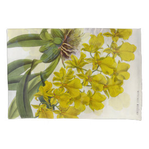 Oncidium Concolor Vintage Lindenia Orchids Pillowcase