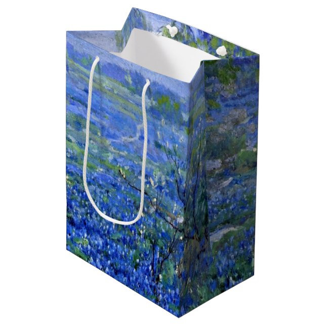 Onderdonk - Cloudy Day, Bluebonnets San Antonio Medium Gift Bag (Front Angled)
