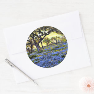 Onderdonk - Old Live Oak Tree and Bluebells Classic Round Sticker