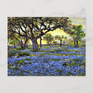 Onderdonk - Old Live Oak Tree and Bluebells Postcard