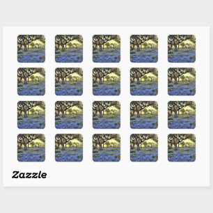 Onderdonk - Old Live Oak Tree and Bluebells Square Sticker