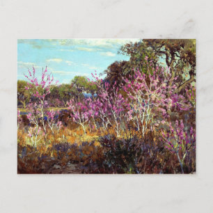 Onderdonk - Rosebud Tree in Bloom at Leon Springs, Postcard