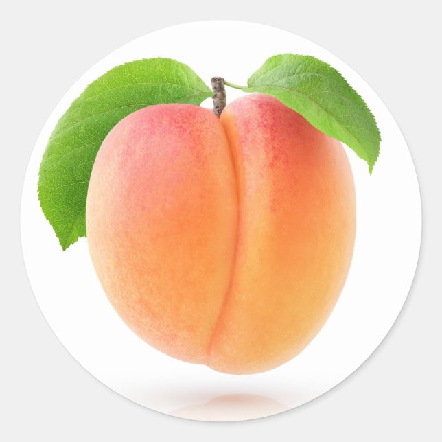 One apricot classic round sticker (Front)