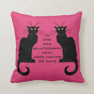 One Bad Relationship Away From Having 30 Cats Cushion