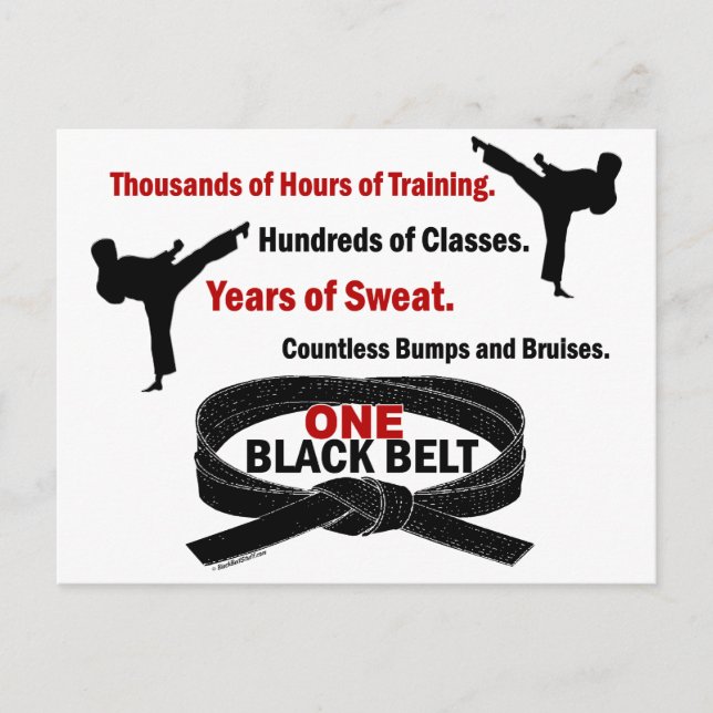 ONE Black Belt 1 KARATE T-SHIRTS & APPAREL Postcard (Front)