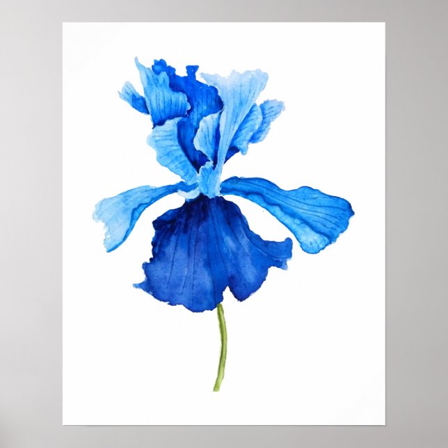 one blue iris watercolor poster (Front)